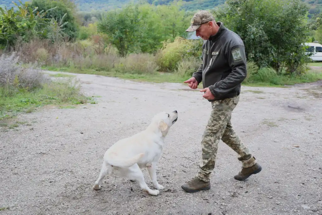 На Вінниччині школярі побачили, як служать прикордонники