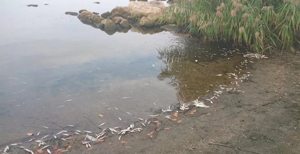 Чи безпечна вода з-під крана у Вінниці: що насправді п’ють містяни