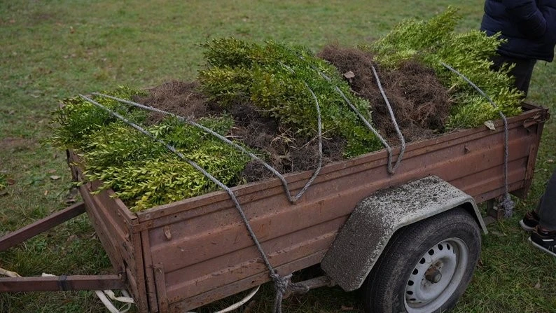 Школярі на Вінниччині відроджують історичний парк: висаджено 600 саджанців