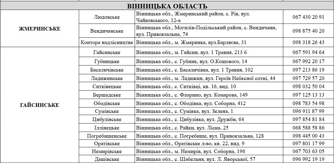 Новорічні ялинки від лісівників: де придбати та скільки коштують ялинки у Вінницькій області