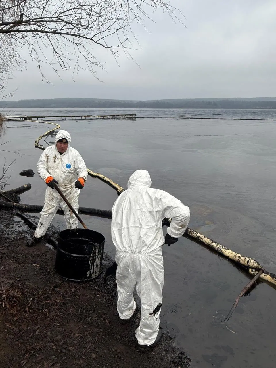 У Ладижині ліквідовують масляну пляму: з водосховища вже зібрали 10 тонн мазуту