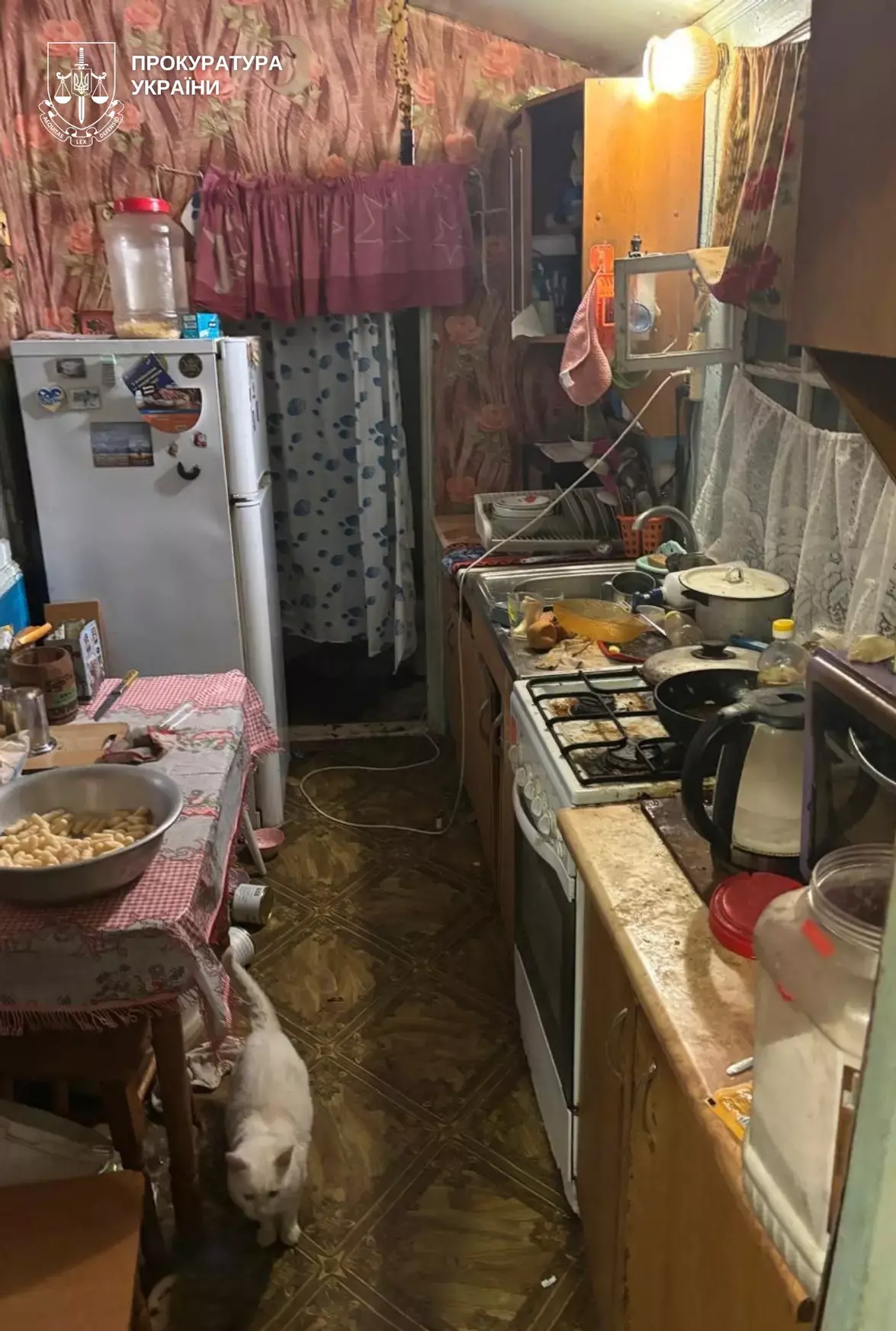 Трагічна смерть хлопчика на Вінниччині: мати та соцслужби не змогли допомогти Трагічна смерть хлопчика на Вінниччині: мати та соцслужби не змогли допомогти