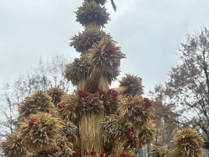 У Вінниці встановили символічний дідух висотою чотири метри