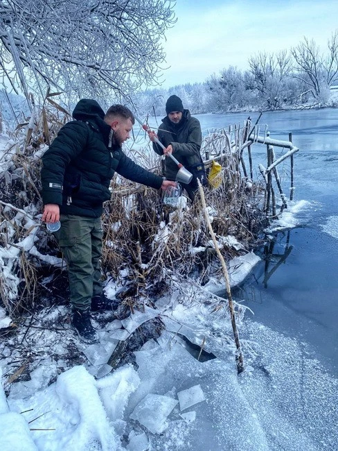 Ладижинське водосховище під контролем: екоінспекція оцінює наслідки викиду мазуту