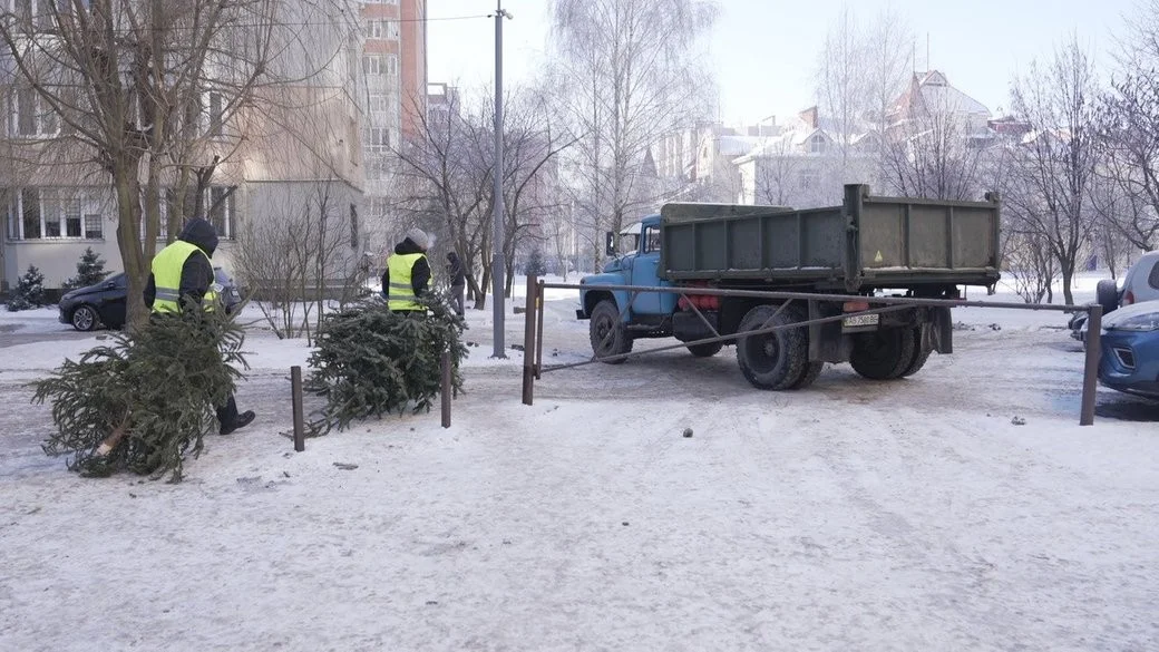 Друге життя святкових дерев: у Вінниці стартувала масштабна утилізація ялинок