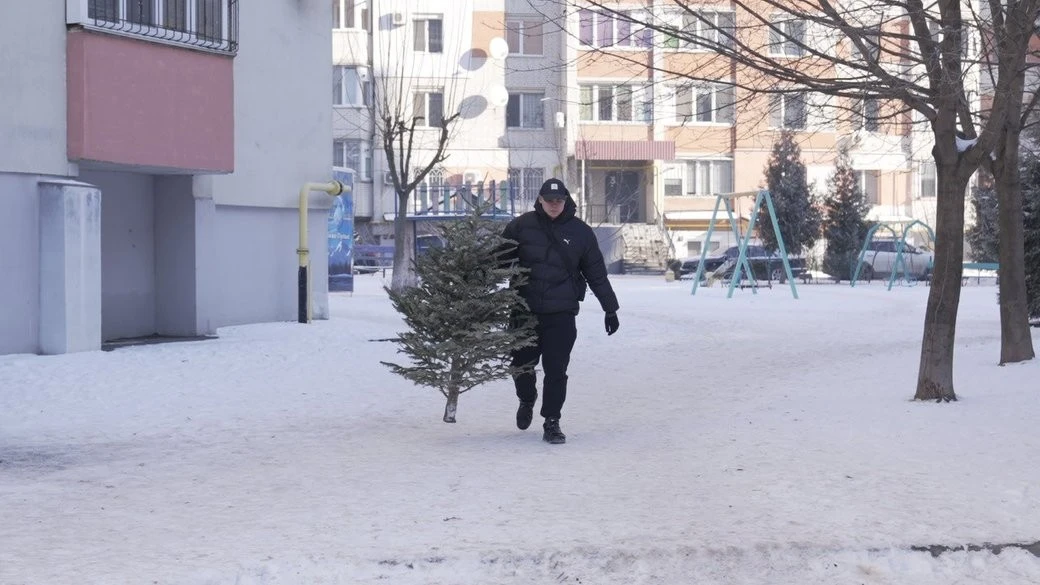 Друге життя святкових дерев: у Вінниці стартувала масштабна утилізація ялинок