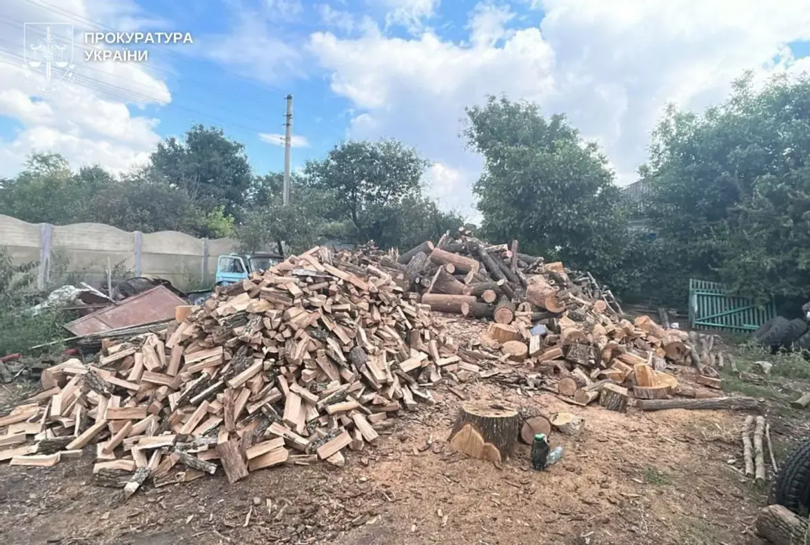 Незаконна вирубка у національному парку «Кармелюкове Поділля»: справу дев’яти підозрюваних передано до суду