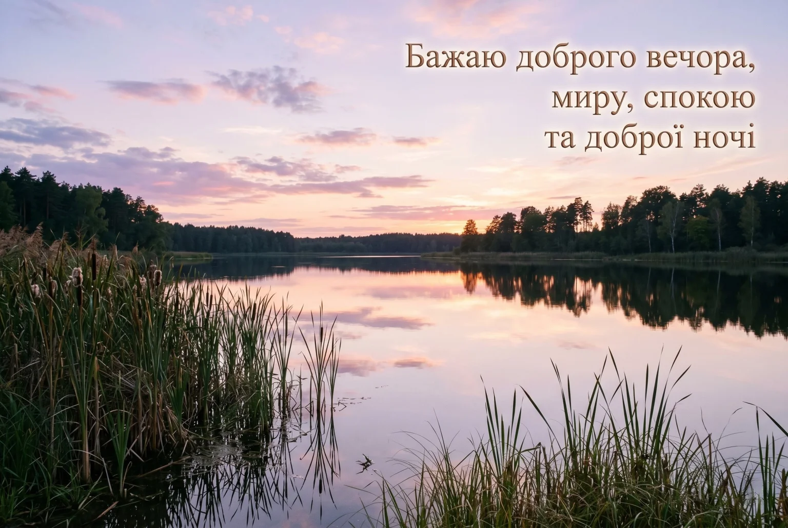 Листівки доброго вечора та тихої ночі для затишного настрою і спокійного відпочинку