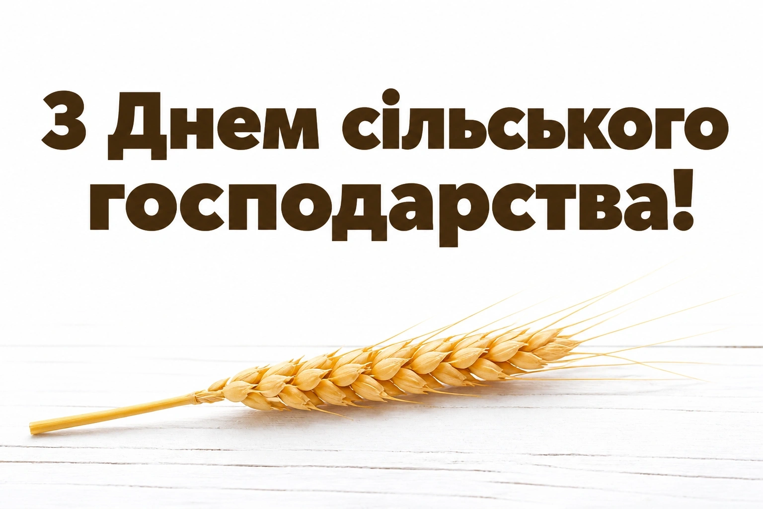 привітання з днем сільського господарства в прозі привітання з днем сільського господарства в прозі